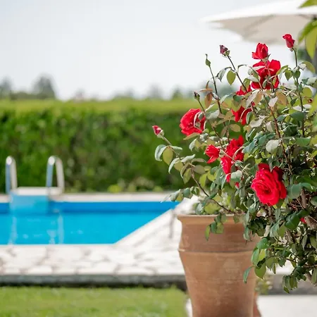 Villa In Pietra Kalamaras *